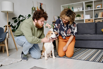 Multiethnic young couple training their purebred dog while sitting on floor in living room