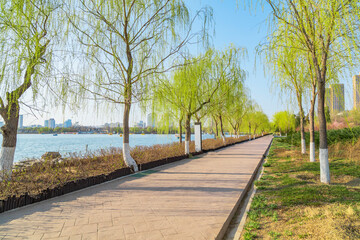 Outdoor park road natural landscape