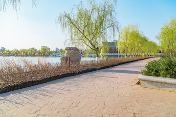Outdoor park road natural landscape