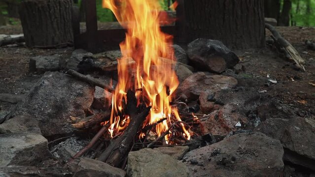 forest fireplace fire spring flame