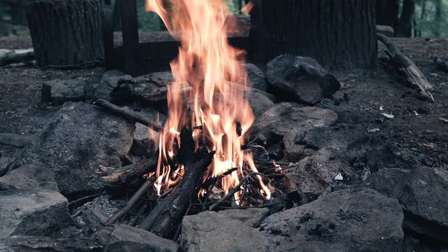 forest fireplace fire spring flame