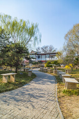 fountain in the park