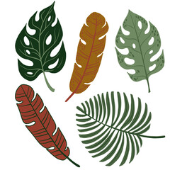 Tropical Leaves hand drawn flat illustration. Paradise flora design elements.