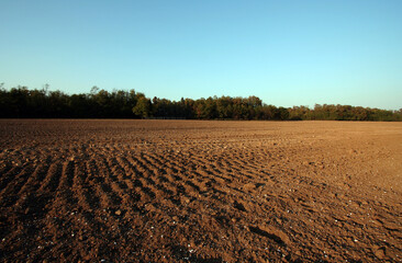 ミラノの広い土地と木々と空、夕方の静寂なアンビエント
