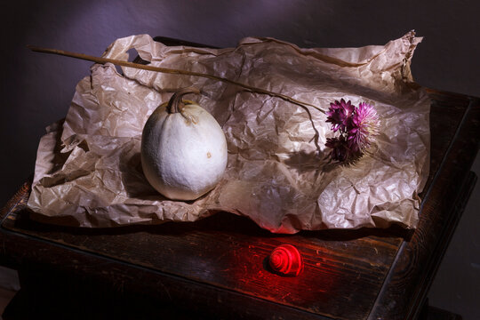 Still life of dried flowers, pumpkins and snails on crumpled paper.