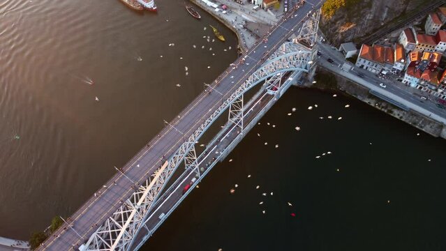 Drone view of the Luis I Bridge in Porto with many seabirds flying.