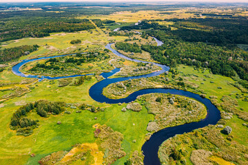 Aerial View Green Forest Woods And River Landscape In Sunny Spring Summer Day. Top View Of Beautiful European Nature From High Attitude In Autumn Season. Drone View. Bird's Eye View.
