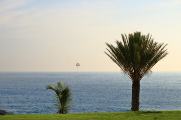 Skydiving skydiver and passenger tandem parachute approach on tropical palm trees beach ocean...