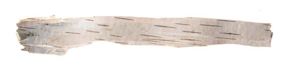 birch bark on a white isolated background