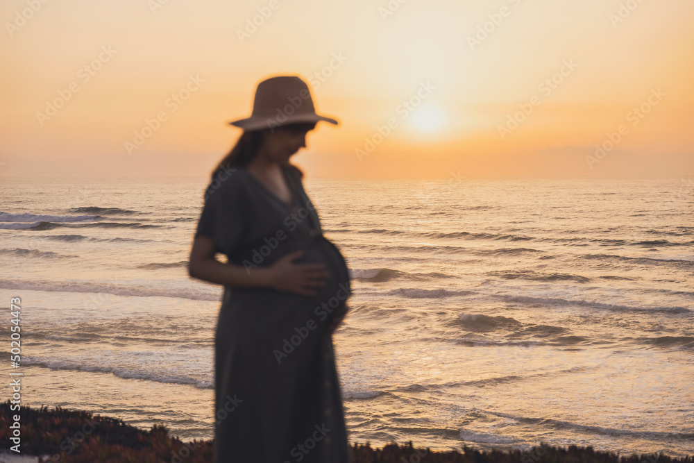 Wall mural Pregnant woman on the beach