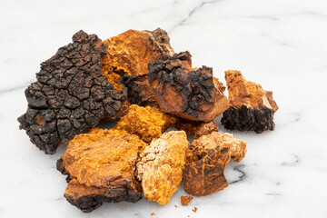Close-up of chaga mushroom pieces, powder and infusion in a cup