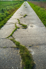 Obraz premium Old concrete path with cracks and overgrown with grass going through the fields, used for cycling or walking. Active lifestyle concept.