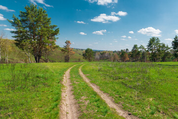 Fototapeta na wymiar Beautiful countryside dirt road with fresh green grass.