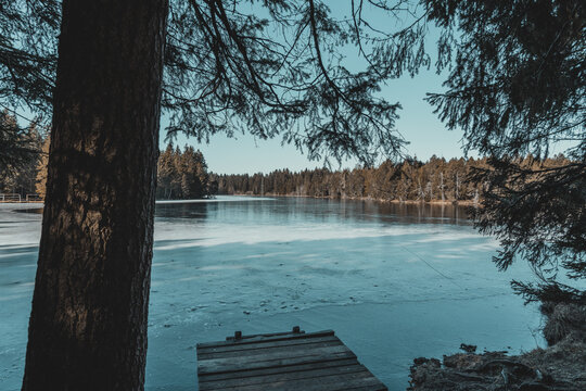 Walk Around The Lake