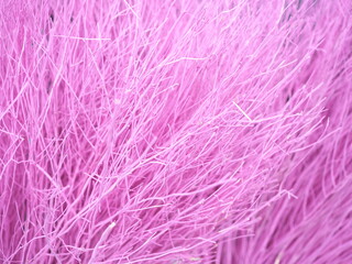 many small pink branches slightly blurry background,
pink background image, branches of trees