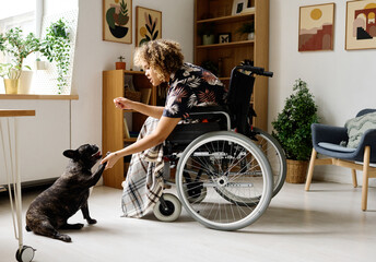 African girl sitting in wheelchair and giving commands to her dog, she training it and spending...