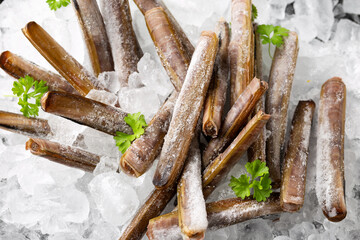 Frozen raw razor clam shellfish on ice, healthy pescatarian sea food concept