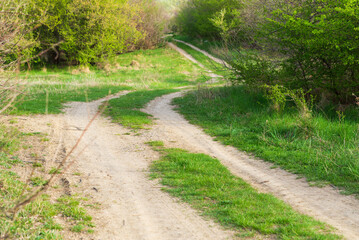 Fototapeta na wymiar Winding dirt road on the flat countryside