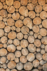 stacked loggs of fire wood texture background.