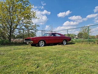 red car on green grass