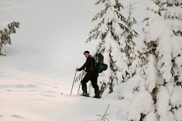view of skier climbing the hill on splitboard. Ski touring in mountains.