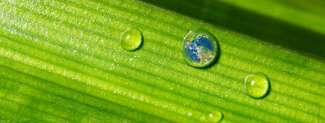 Drop of dew on Green Pandan leaf with earth reflection, Banner for world environment, earth day,...