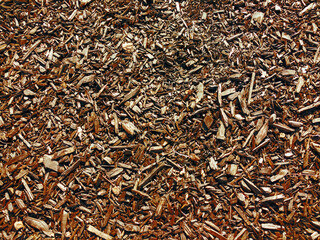 gardening fresh cut wood chips mulch ground growing flowerbed protection garden landscaping