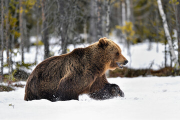 Obraz premium When it's time to leave quickly