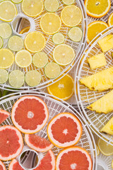 fresh sliced grapefruit, orange, pineapple, lime and lemon lie on the round grate of the fruit and vegetable drying machine, top view