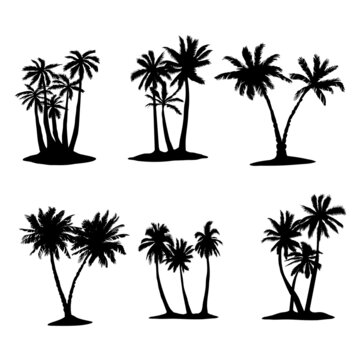 Coconut tree palm set icon in vector hand drawn style