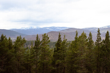 mountains in the morning