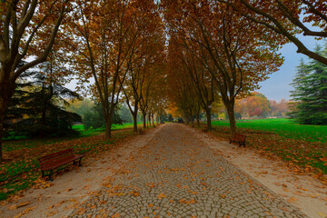 Park landscape in autumn. Autumn landscape on a sunny day. People strolling in the park in sunny...