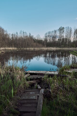 reflection of trees in lake