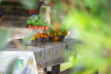 table in the garden of fruits