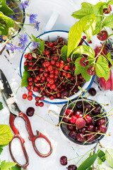Freshly gathered juicy red currants, cherries, raspberries in a white metal plate and cup, berries on a white tablecloth with green natural leaves and bouquet of cornflowers in background
