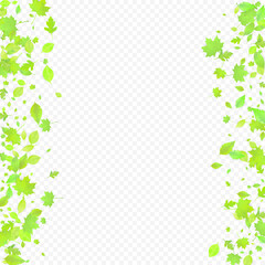 Fototapeta premium Leaves Falling Spring Flying Foliage Green Leaf