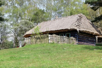 Stary tradycyjny drewniany wiejski dom kryty strzechą, wśród zieleni - obrazy, fototapety, plakaty