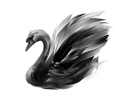 painted bird black swan on a white background