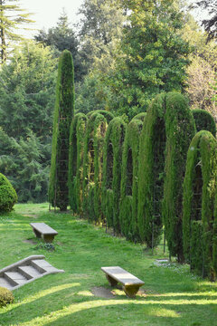 panchine con siepi ornamentali nel giardino di Villa Toepliz, Varese, Italia