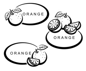 Oranges set. Collection icons orange. Vector