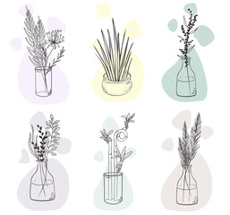 Set or plants in vase or plant compositions