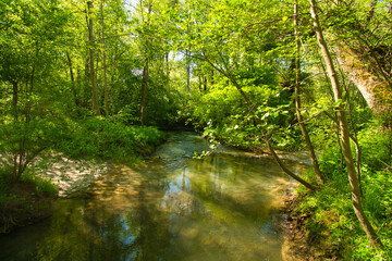 Obraz premium Ile de Rhinau im Grand Ried im Elsass