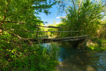 Ile de Rhinau im Grand Ried im Elsass