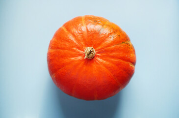 Orange pumpkin on blue background top view. Autumn season wallpaper. Thanksgiving harvest minimalism symbol 