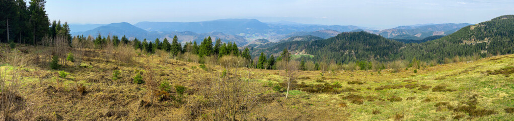 Panorama_Roßbühl_Schwarzwald_2044