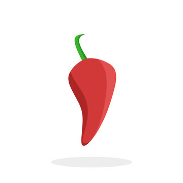 fresh red chili flat icon illustration for food menu design element