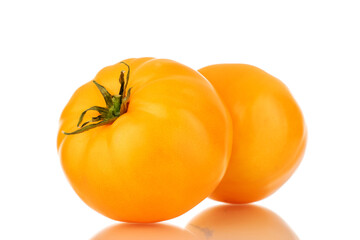 Two juicy organic, yellow tomatoes, close-up, isolated on a white background.