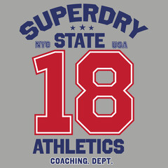 Creative t-shirt graphic design, print stamp, New York sports wear typography emblem