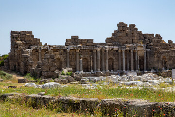 Fototapeta premium ruins of the roman forum