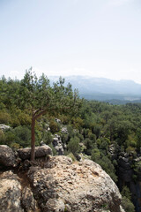 rock in the mountains